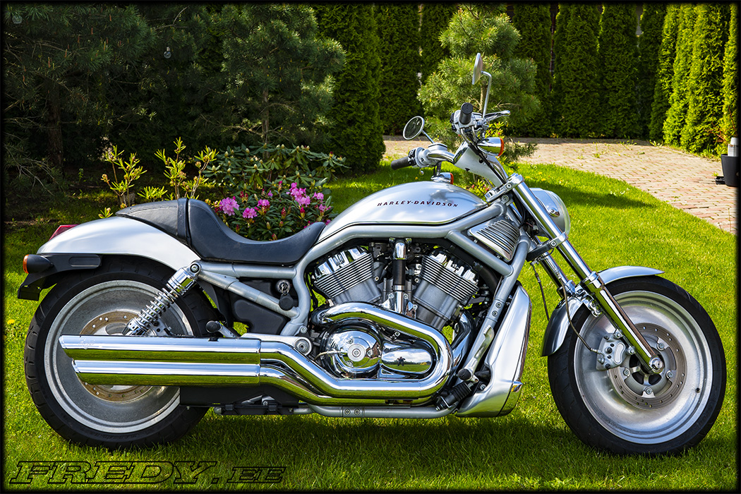’02 Harley-Davidson VRSCB V-Rod 804302