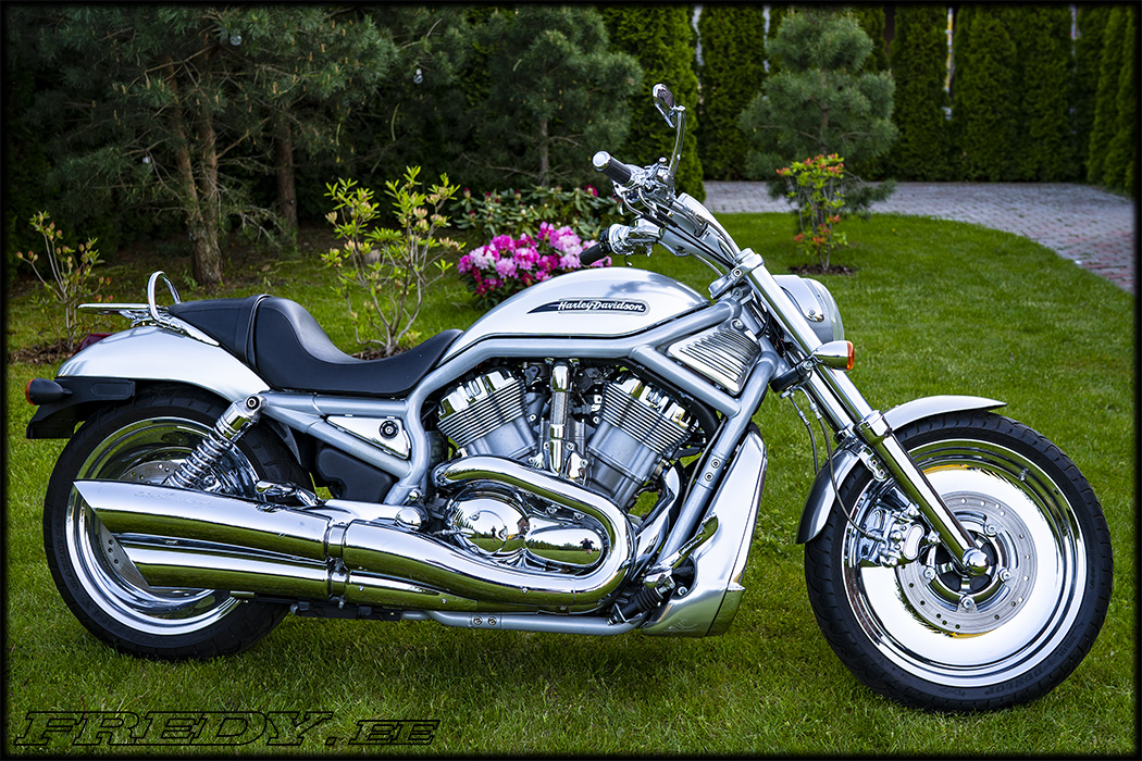 ’02 Harley-Davidson VRSCB V-Rod 806620