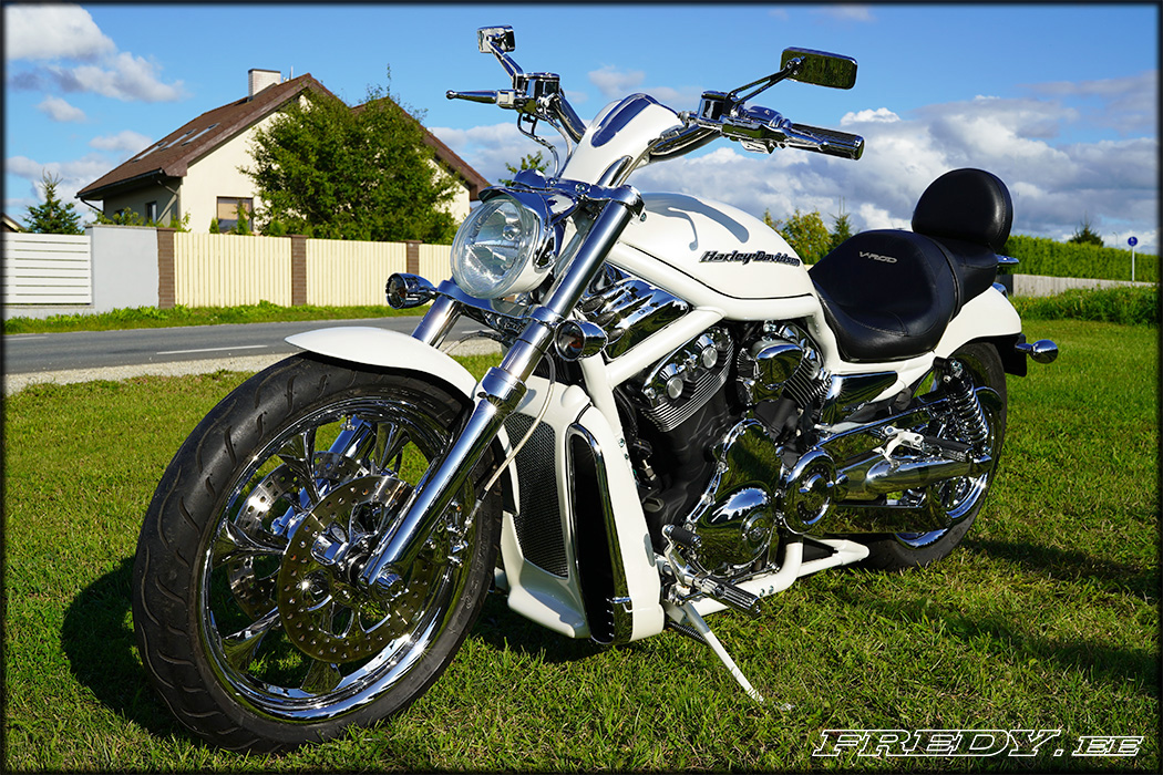 Zodiac- Extension de boutons de clignotants - Harley-Davidson de 1996 à  2013 & V-Rod de 2002 à 2017 - Chrome- 370849-71500180 – Kustom Store  Motorcycles
