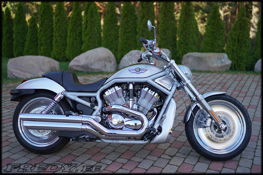 ’03 Harley-Davidson VRSCA V-Rod 842531