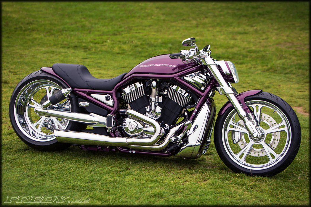 ’02 Harley-Davidson VRSCA V-Rod 3