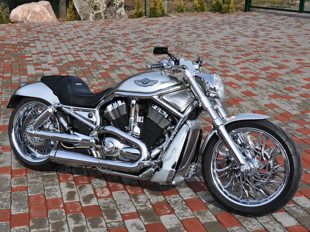 03 Harley Davidson Vrsca V Rod Fredy Ee
